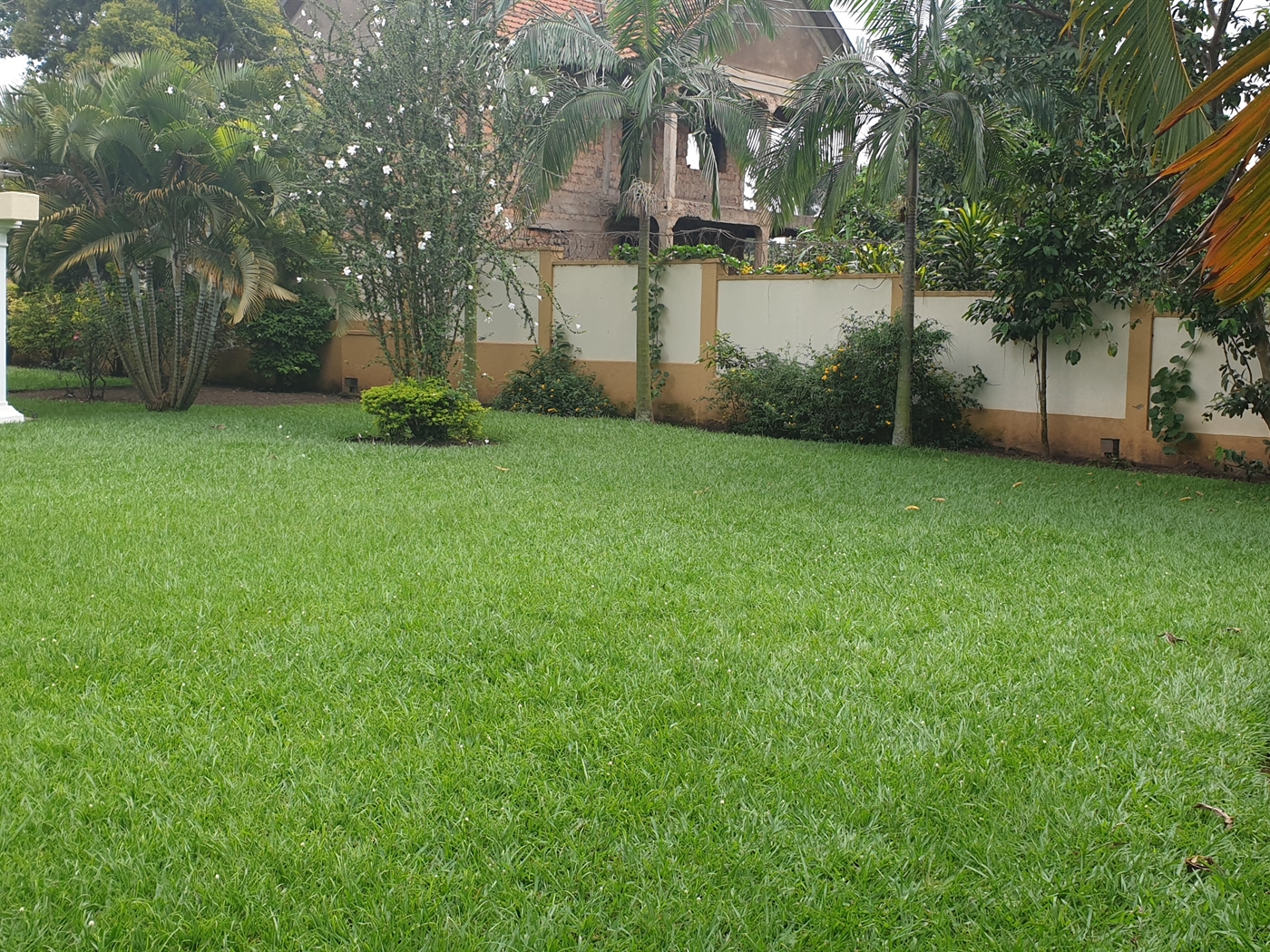 Mansion for rent in Naguru Kampala