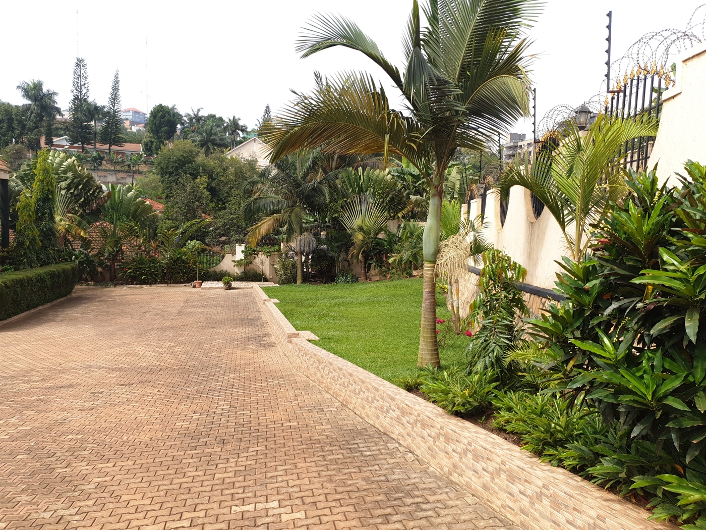 Mansion for rent in Naguru Kampala