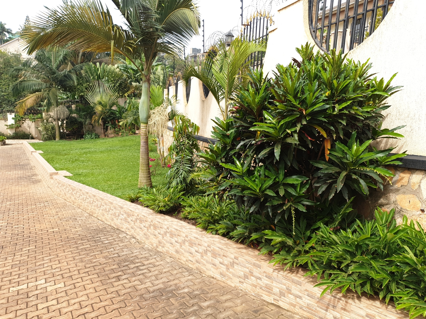 Mansion for rent in Naguru Kampala