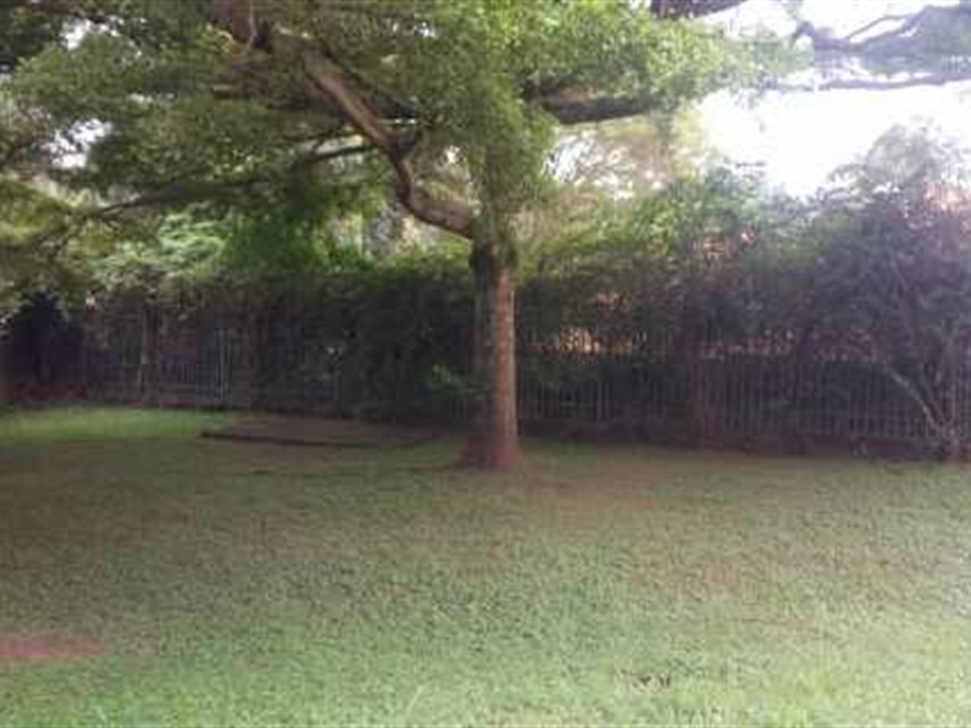 Mansion for rent in Naguru Kampala