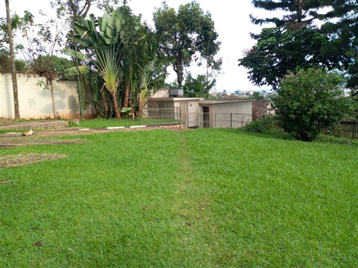 Mansion for rent in Ntinda Kampala