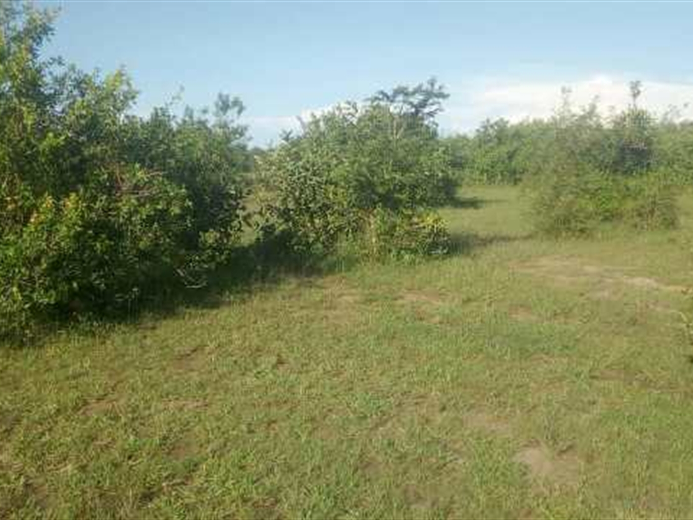 Multipurpose Land for sale in Namanve Wakiso