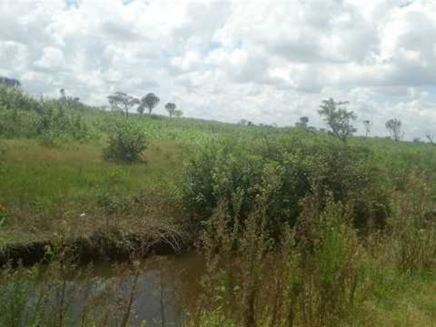 Multipurpose Land for sale in Namanve Wakiso