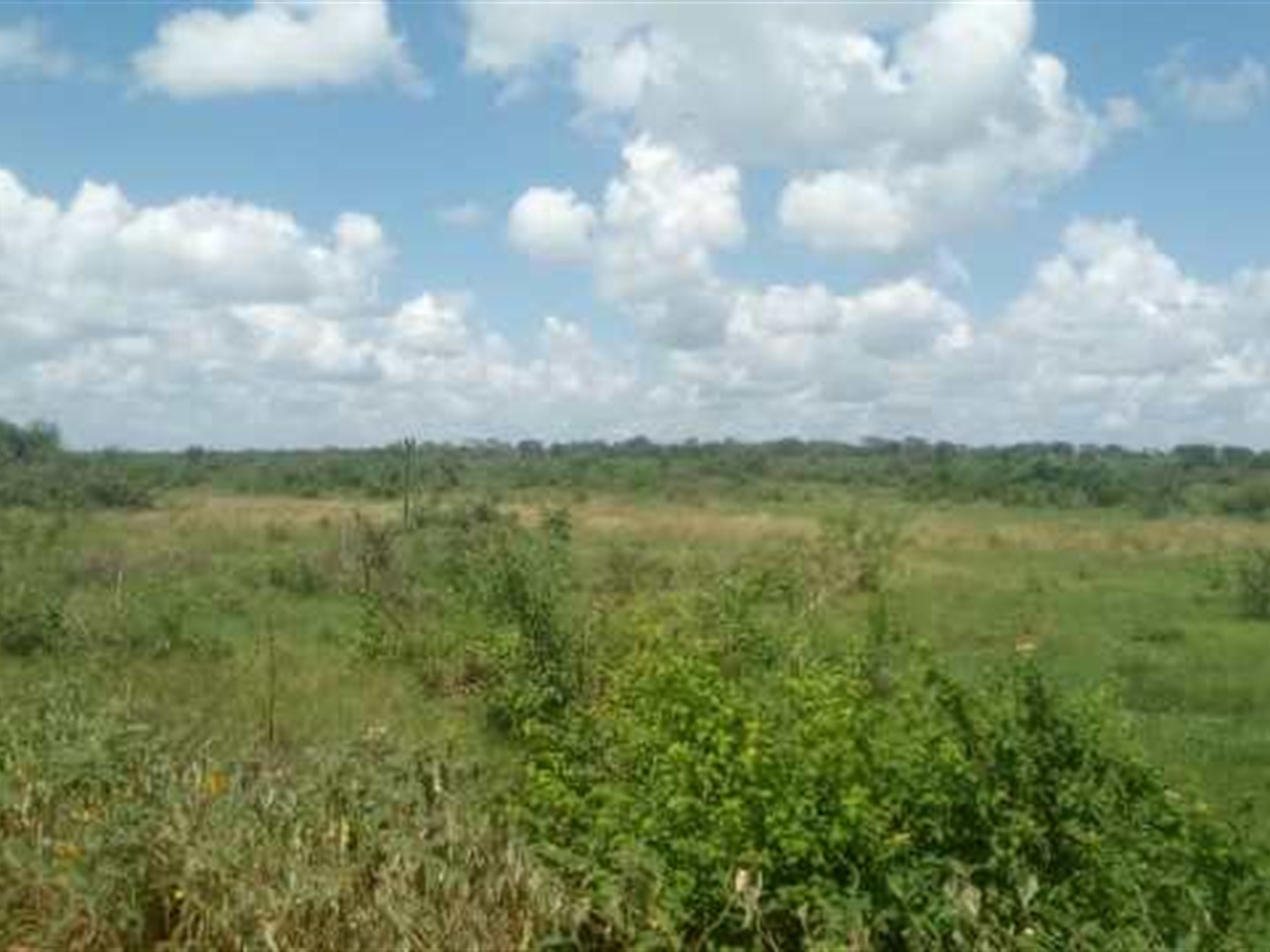 Multipurpose Land for sale in Namanve Wakiso