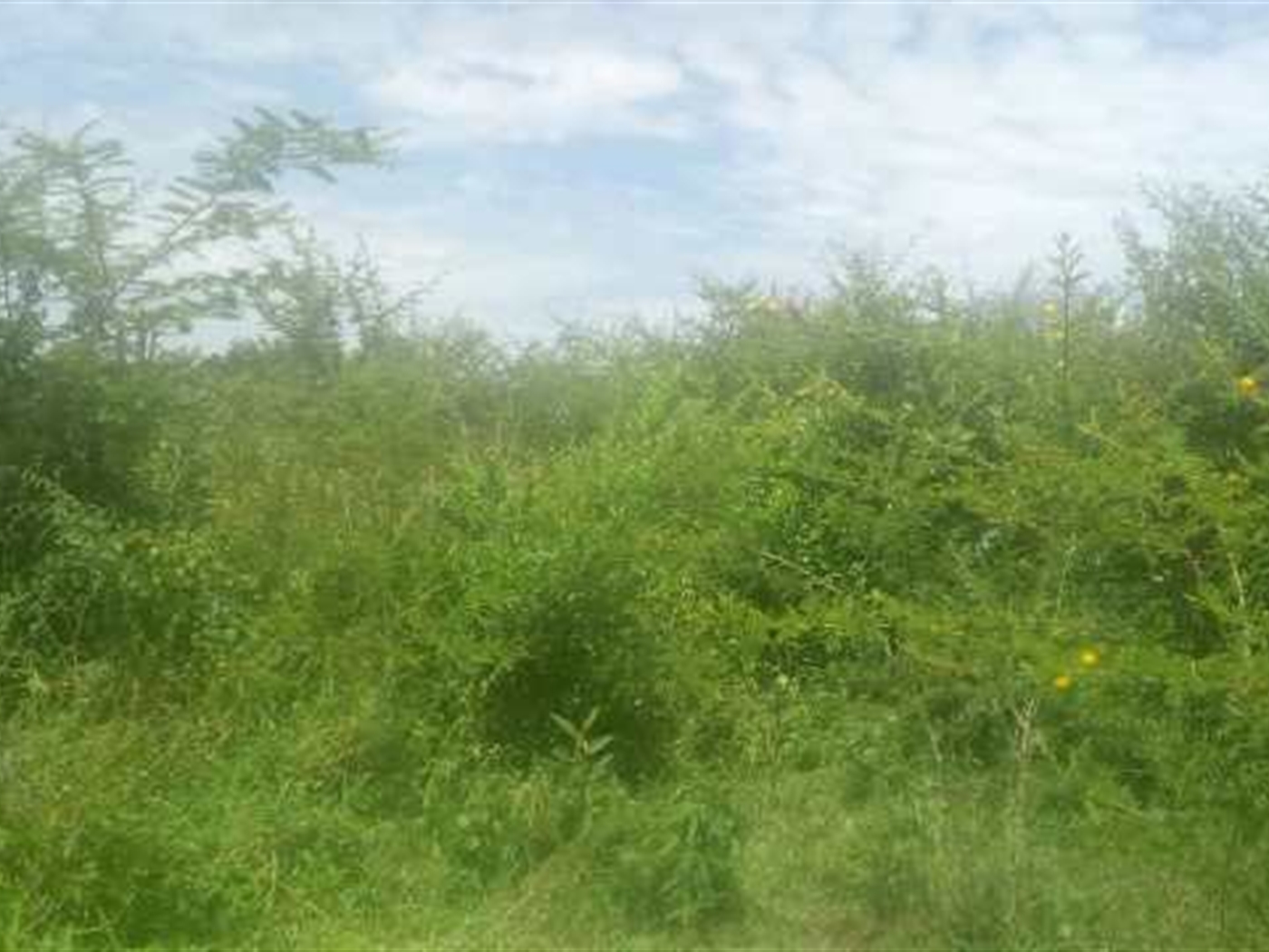 Multipurpose Land for sale in Namanve Wakiso