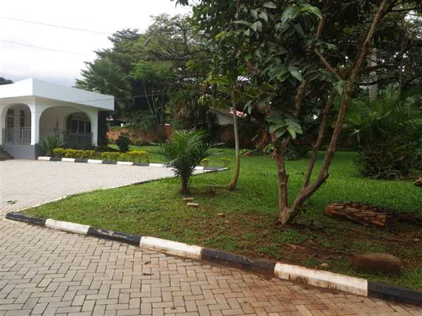 Bungalow for rent in Kololo Kampala