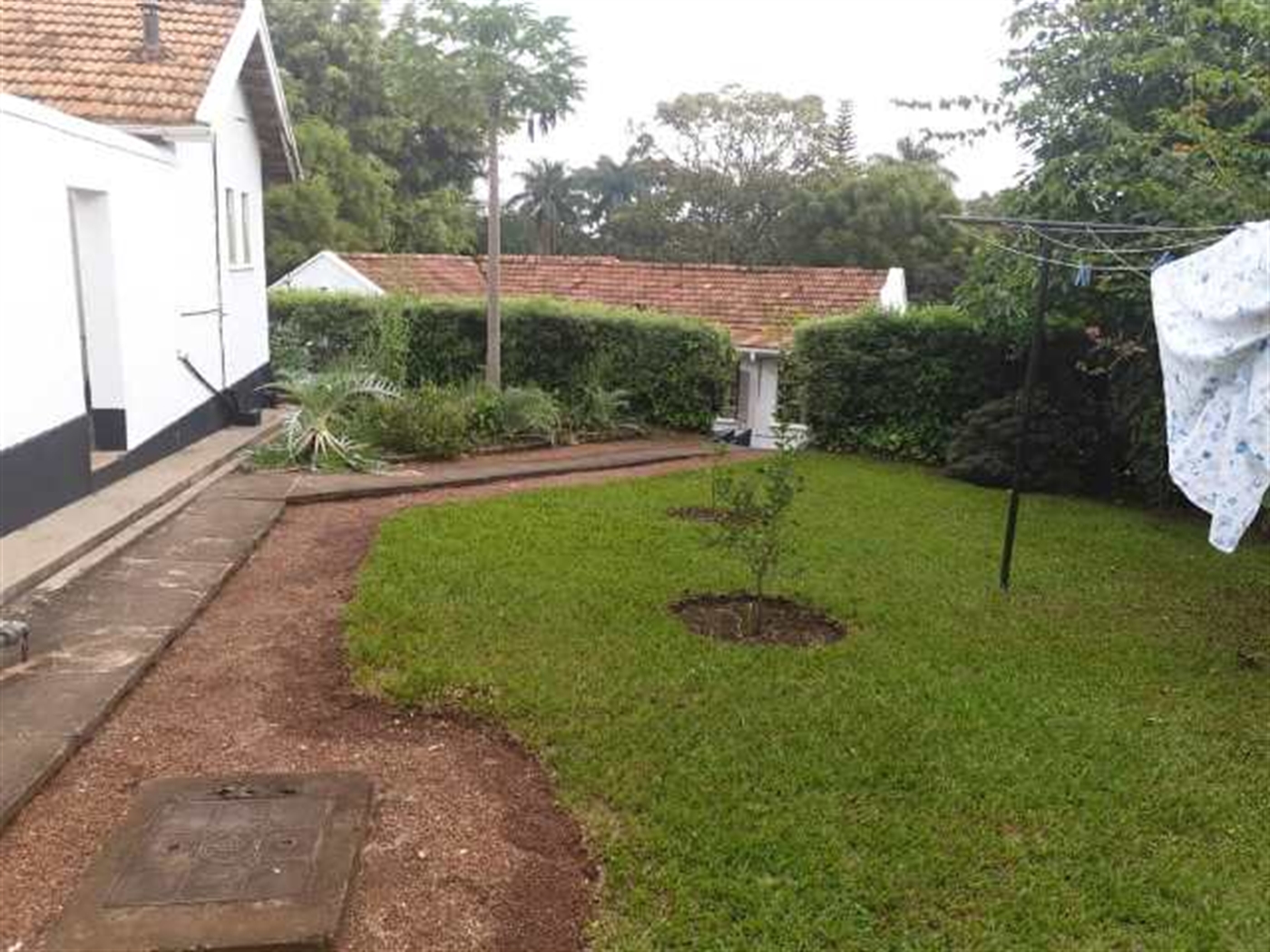 Bungalow for rent in Kololo Kampala