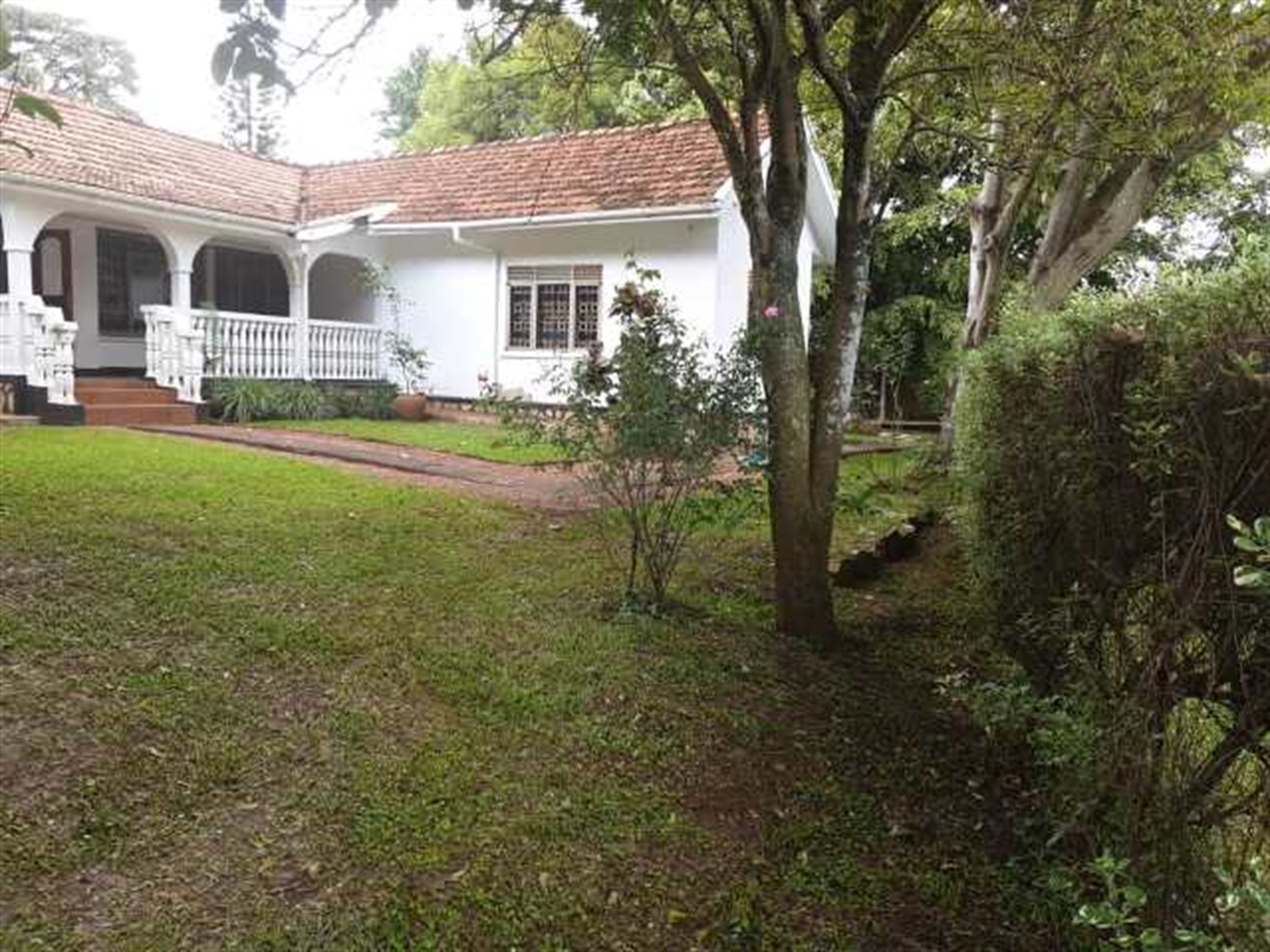 Bungalow for rent in Kololo Kampala