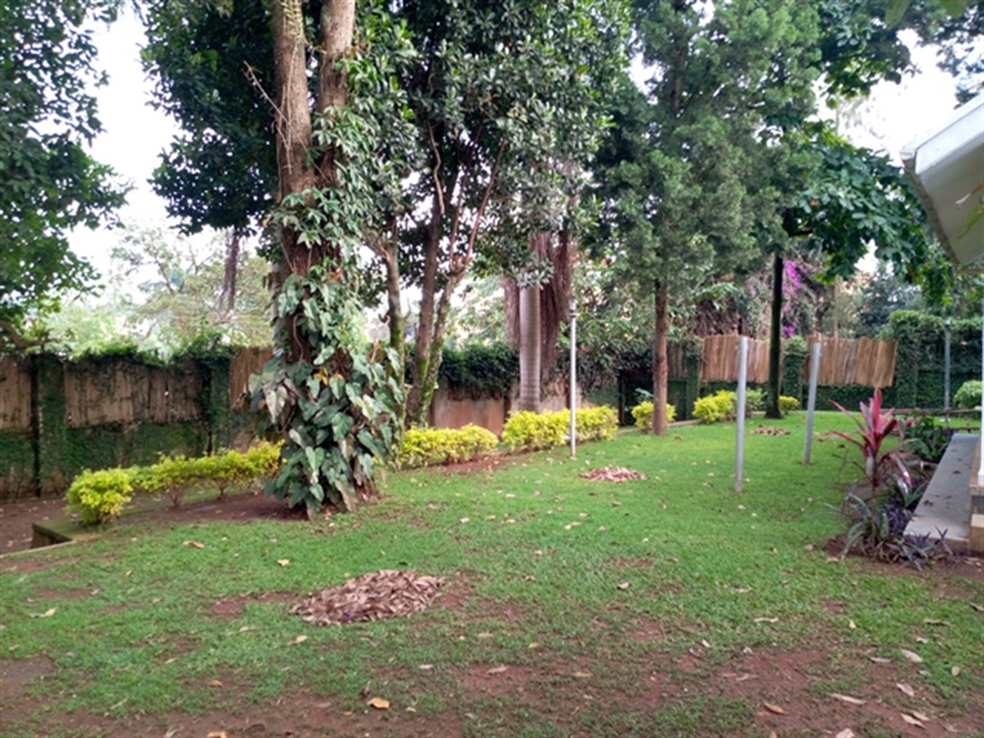 Bungalow for rent in Ntinda Kampala