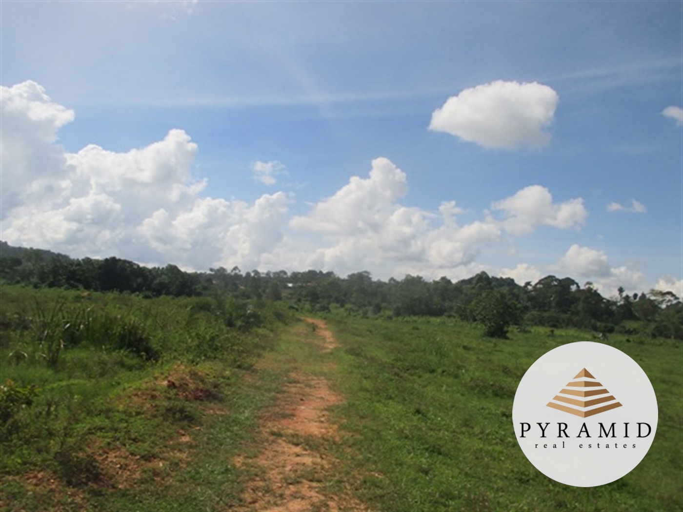 Industrial Land for sale in Lwanyonyi Mukono