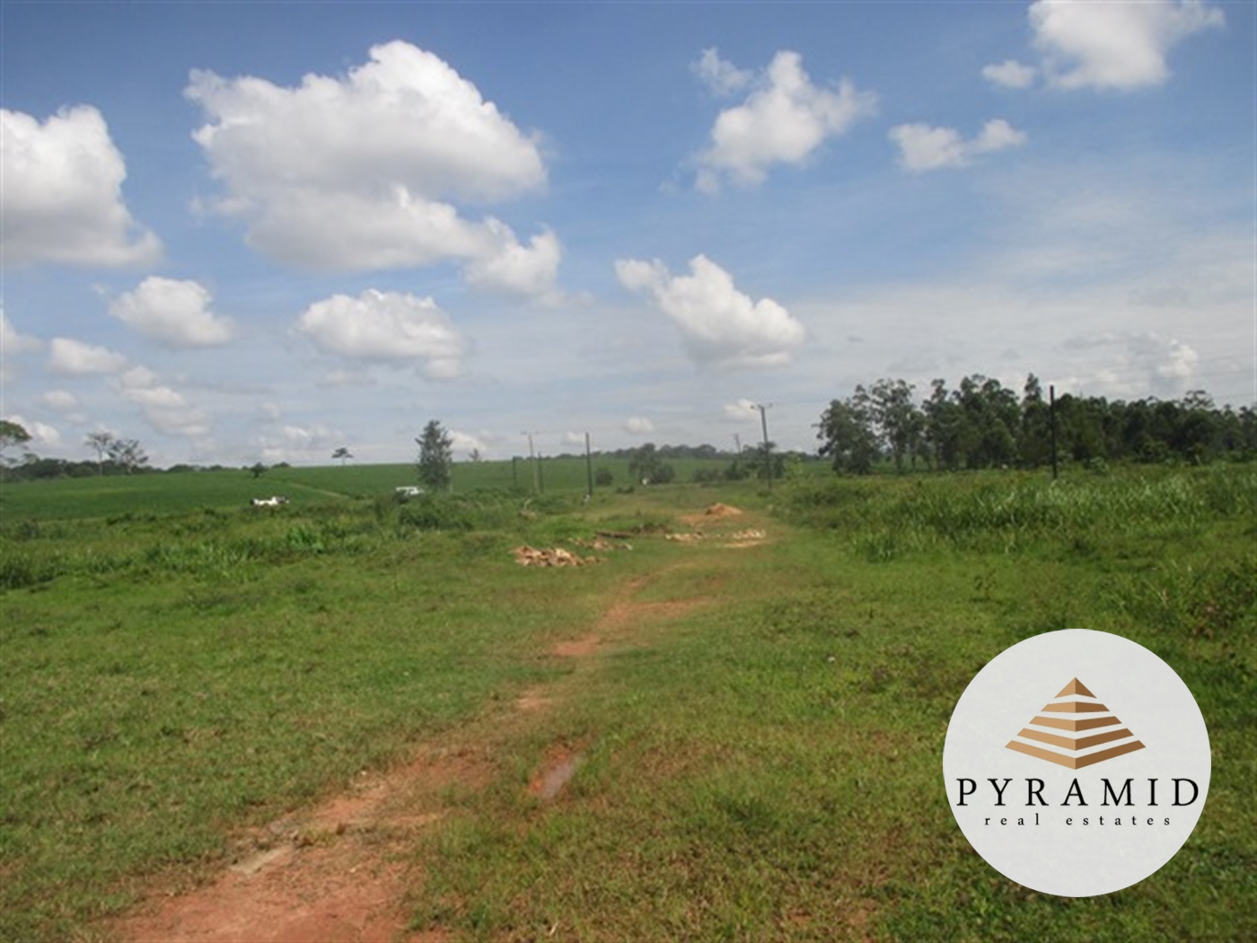 Industrial Land for sale in Lwanyonyi Mukono