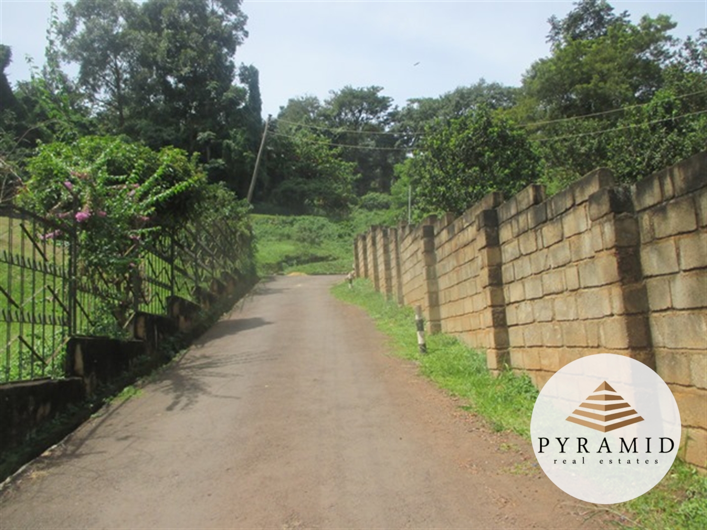 Residential Land for sale in Muyenga Kampala