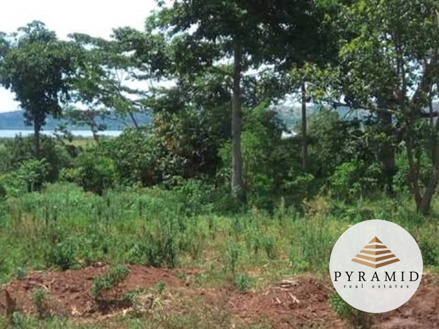 Multipurpose Land for sale in Nkokonjeru Mukono