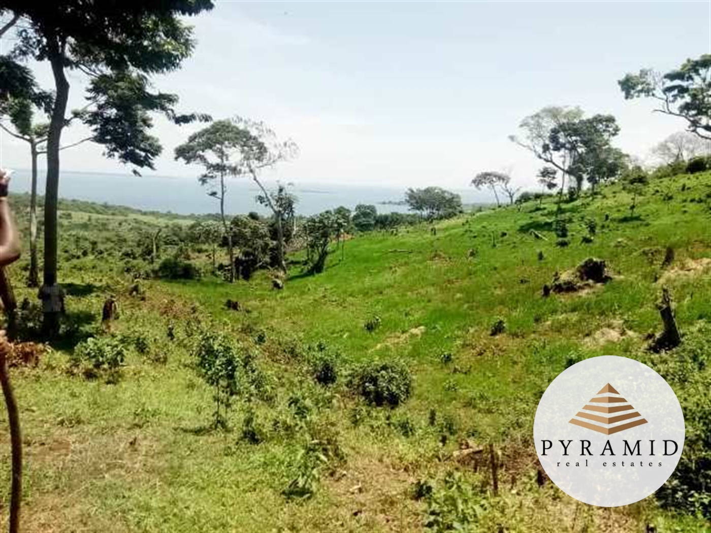 Multipurpose Land for sale in Ntenjjeru Mukono
