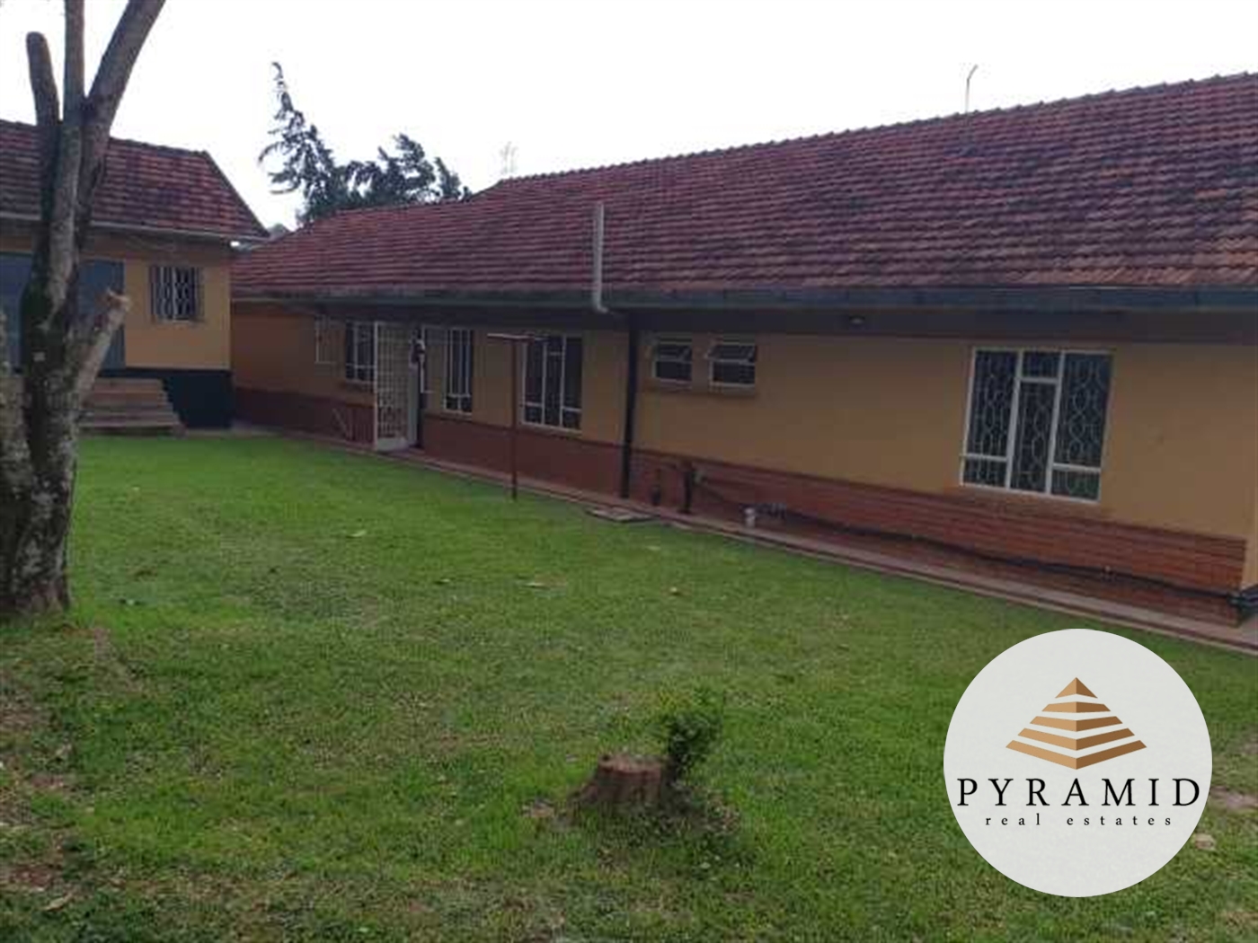 Bungalow for rent in Naguru Kampala