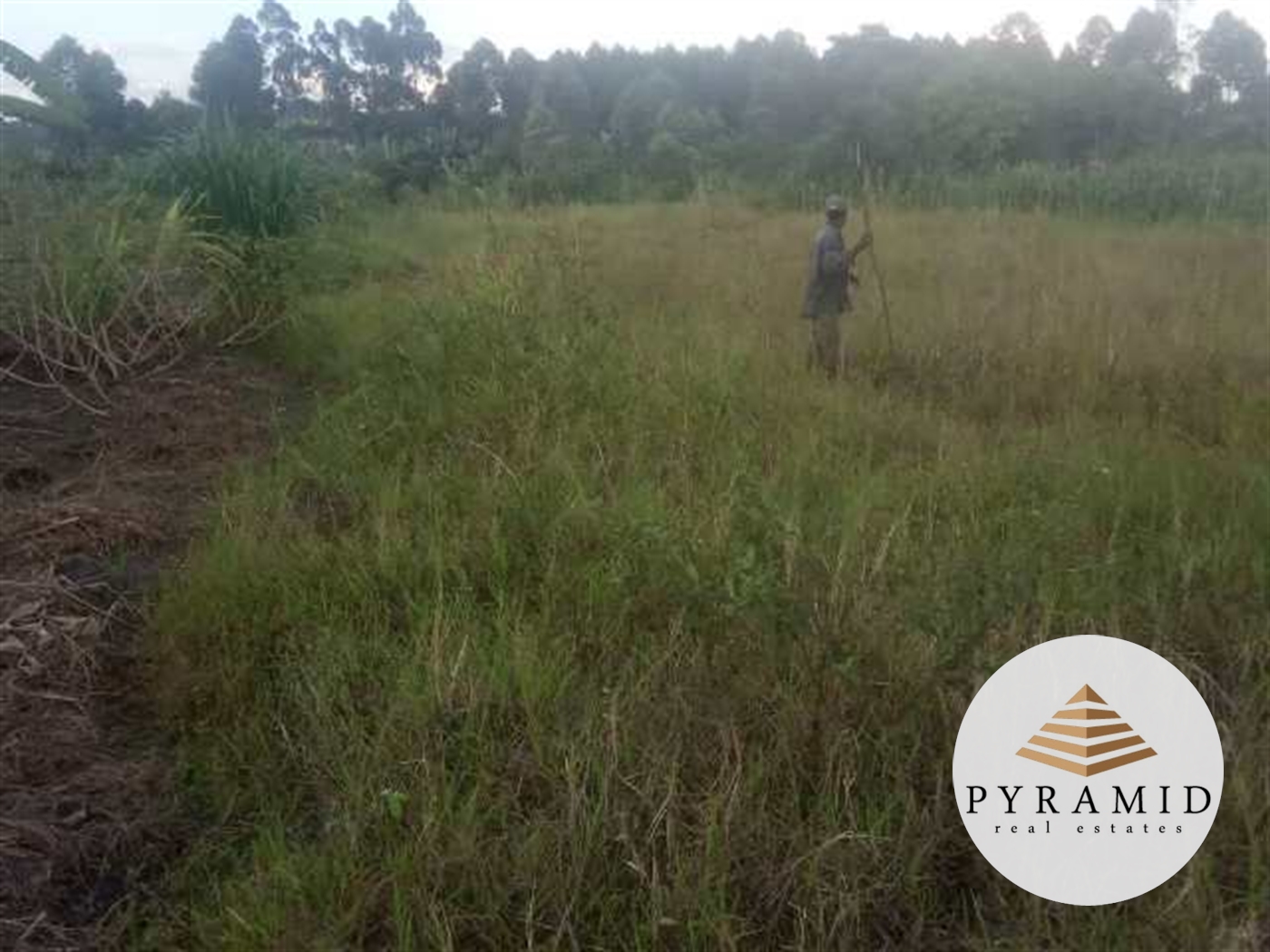 Residential Land for sale in Buwaate Wakiso