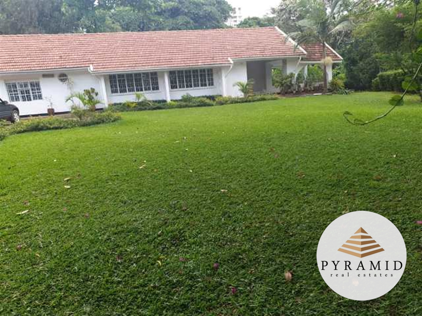 Bungalow for rent in Kololo Kampala