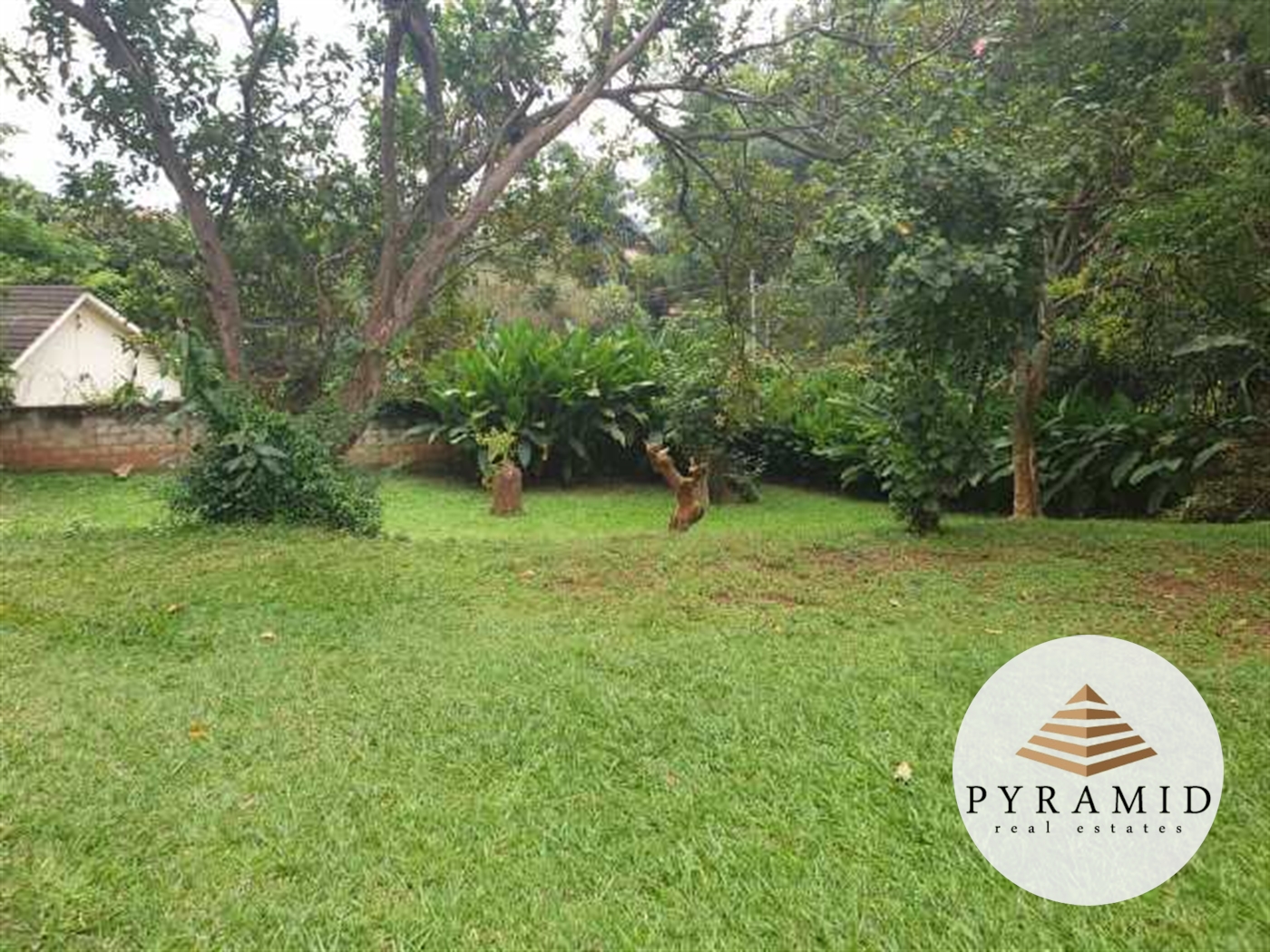 Bungalow for rent in Kololo Kampala