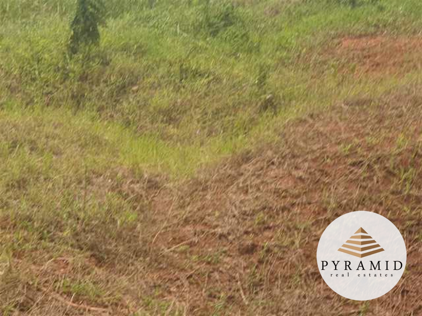 Industrial Land for sale in Namanve Wakiso