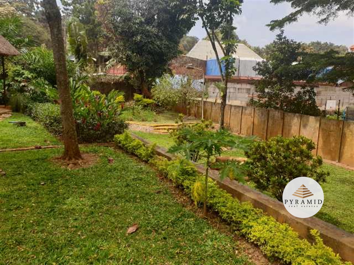 Bungalow for rent in Kololo Kampala