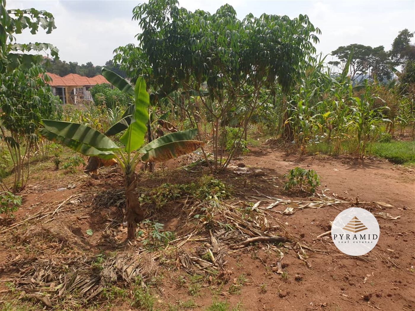 Residential Land for sale in Kiwaatule Kampala