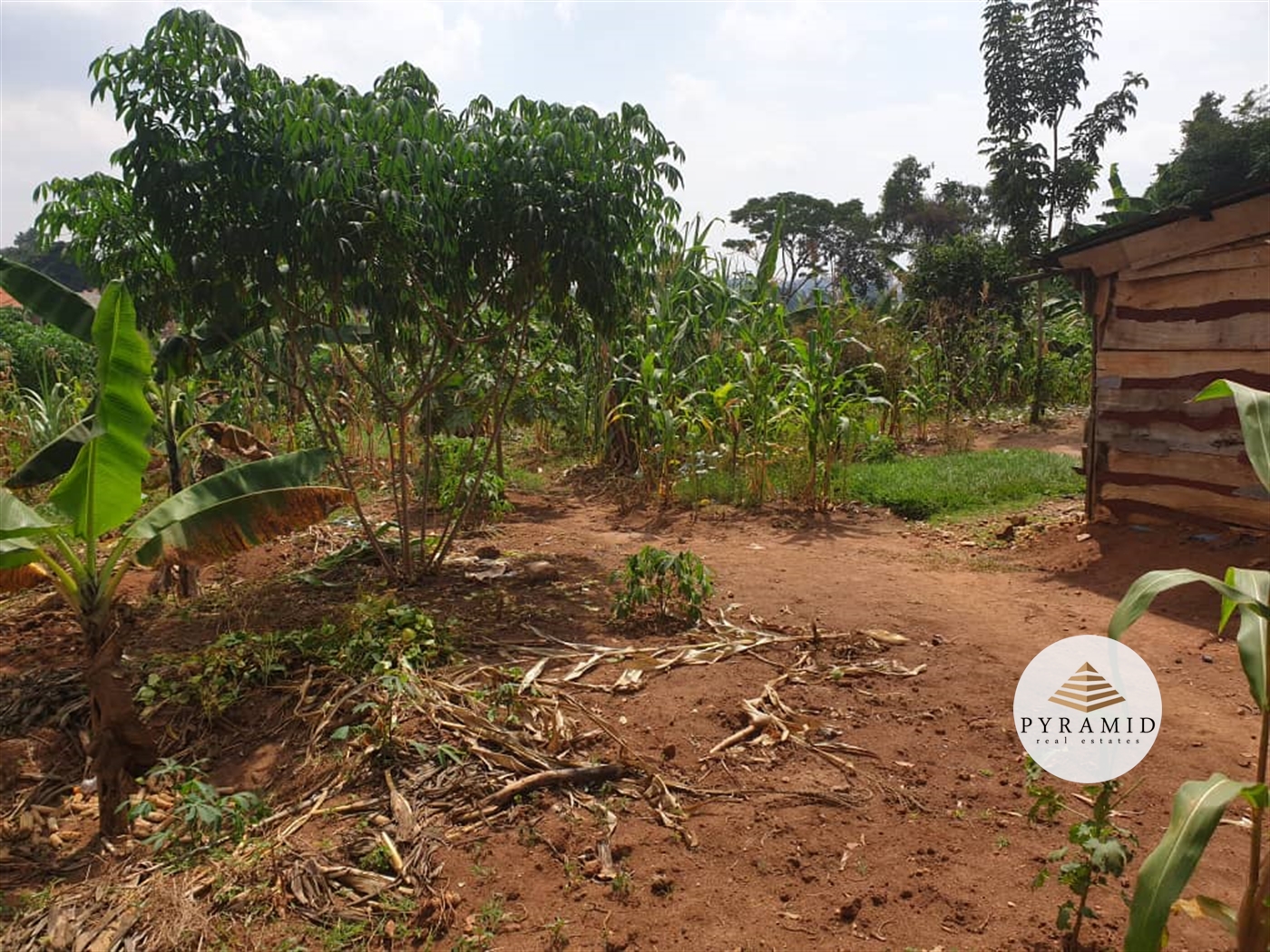 Residential Land for sale in Kiwaatule Kampala