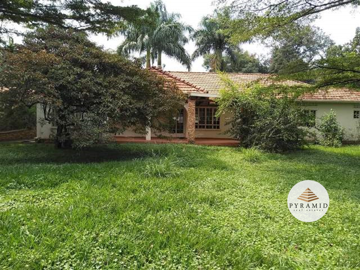 Bungalow for rent in Kololo Kampala