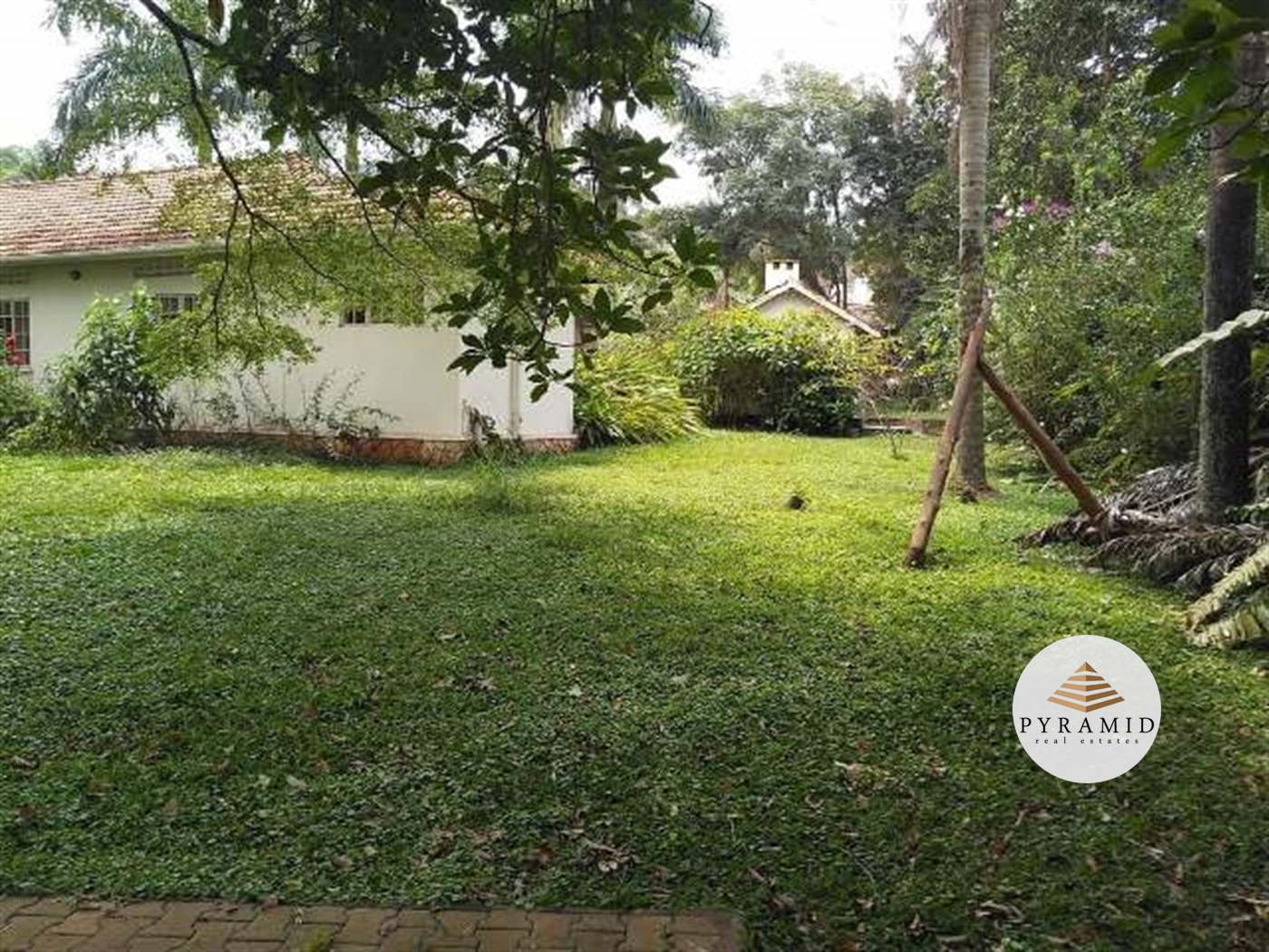 Bungalow for rent in Kololo Kampala