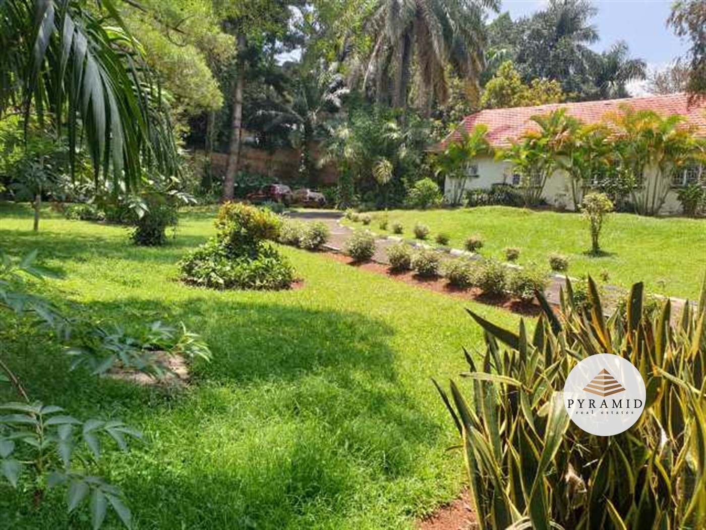 Bungalow for rent in Kololo Kampala