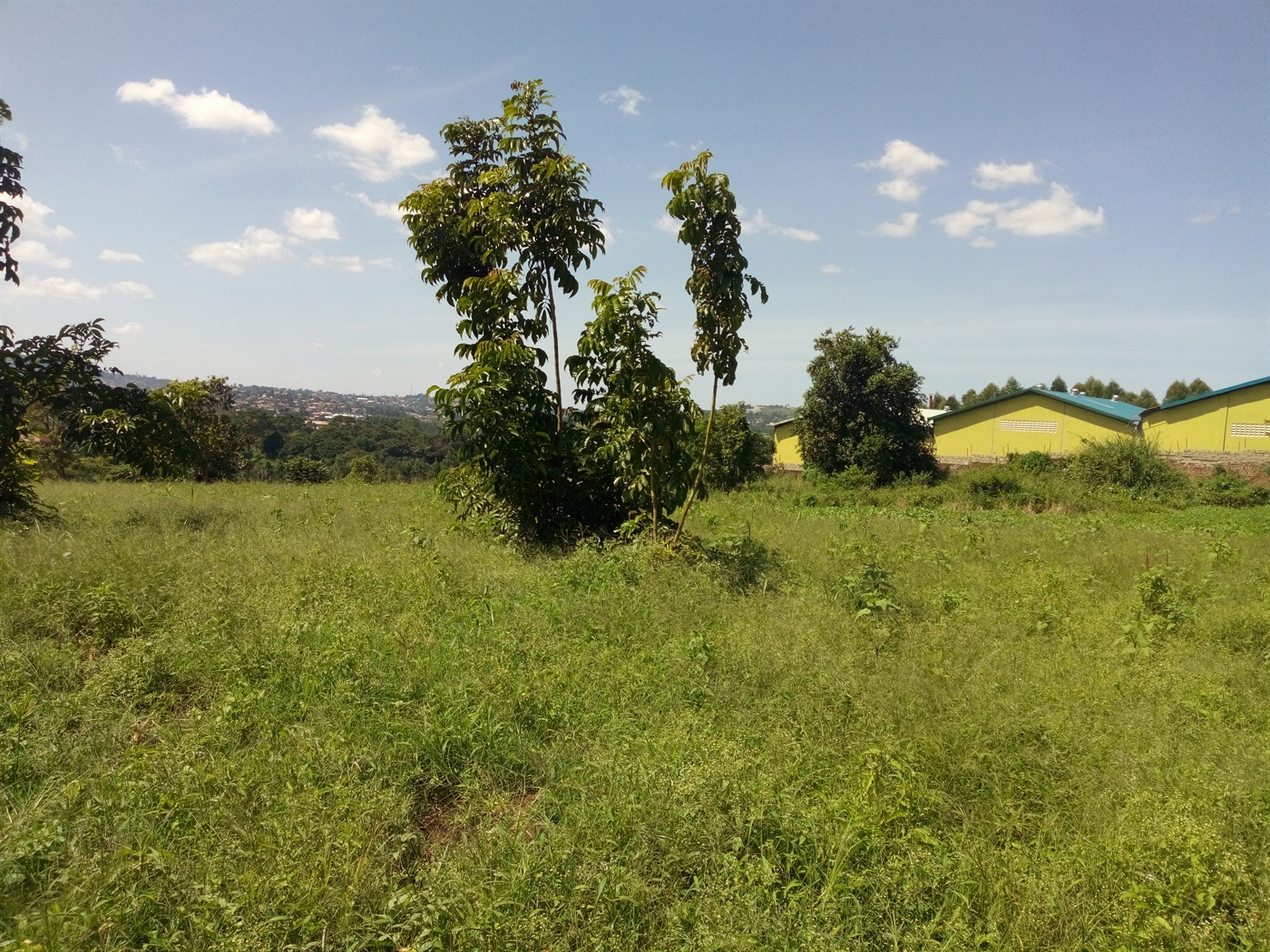 Multipurpose Land for sale in Mbalala Mukono