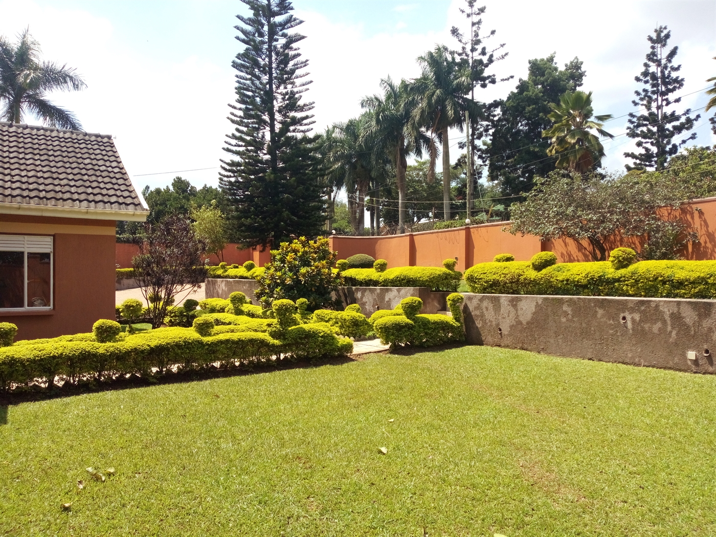 Bungalow for rent in Naguru Kampala