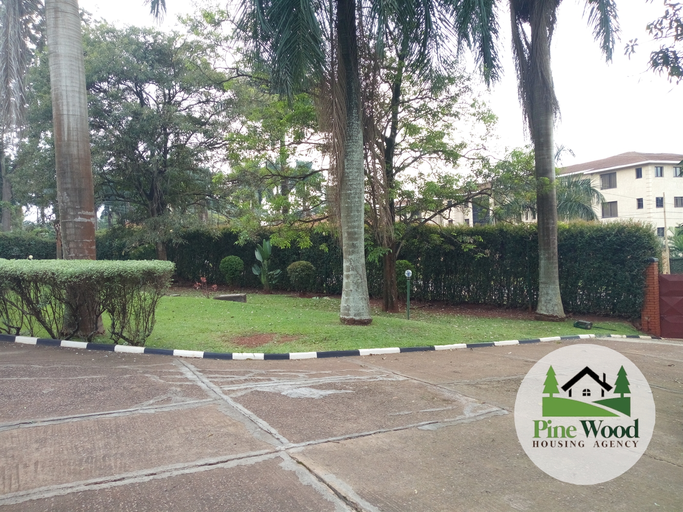 Bungalow for rent in Kololo Kampala