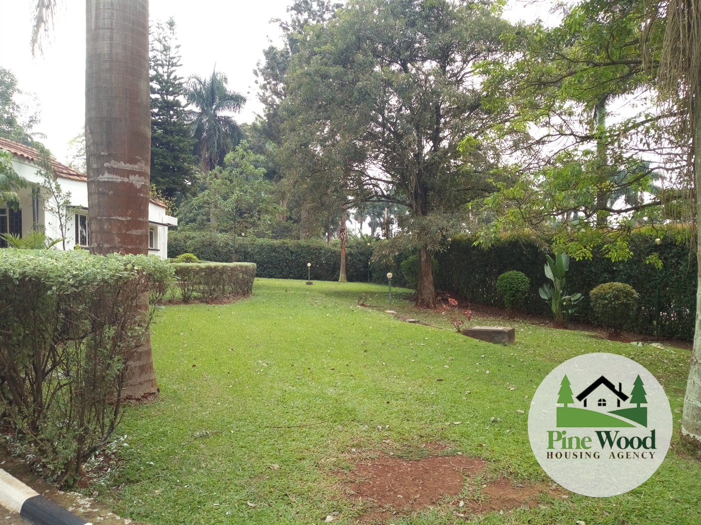 Bungalow for rent in Kololo Kampala