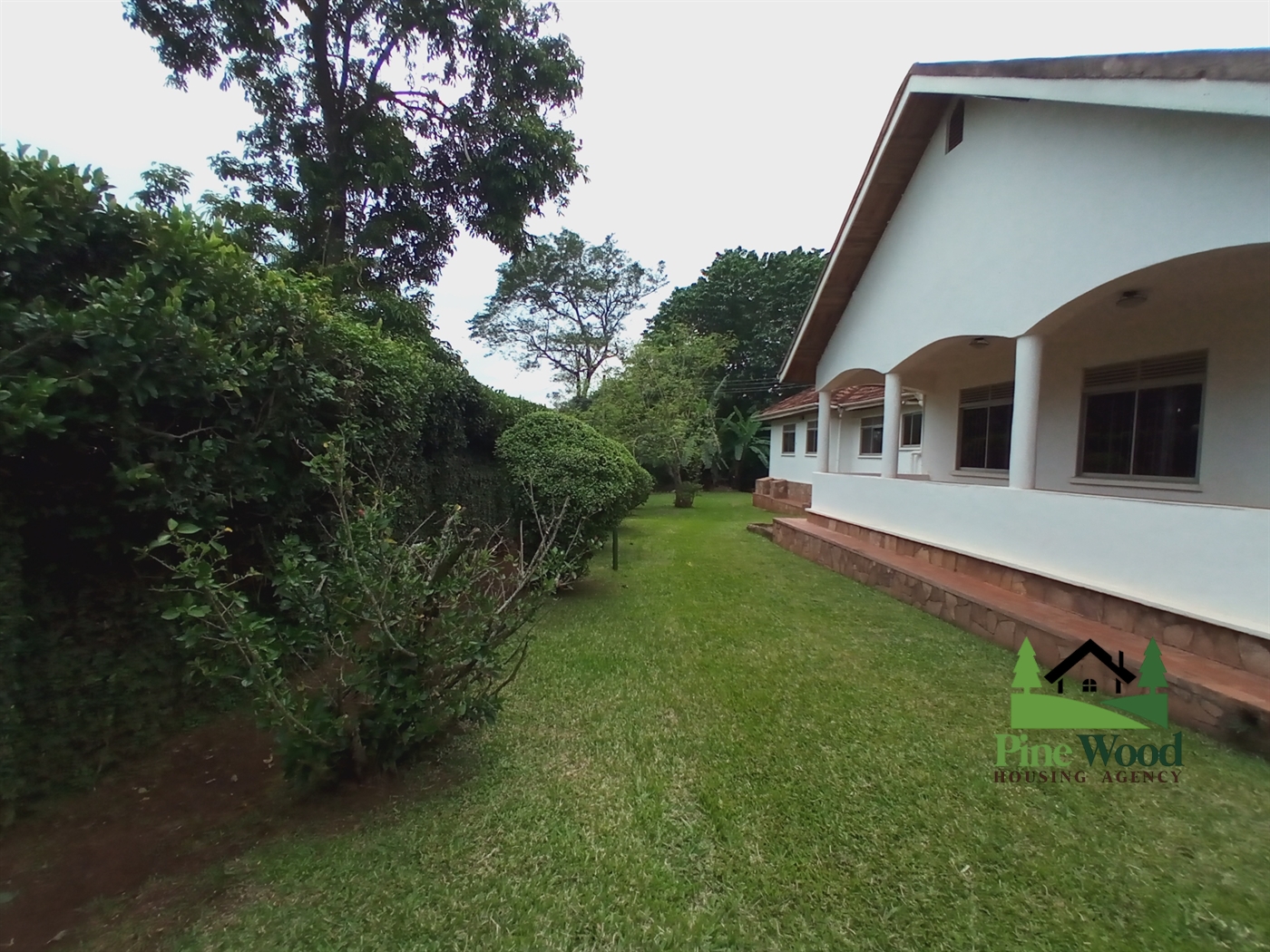 Bungalow for rent in Kololo Kampala