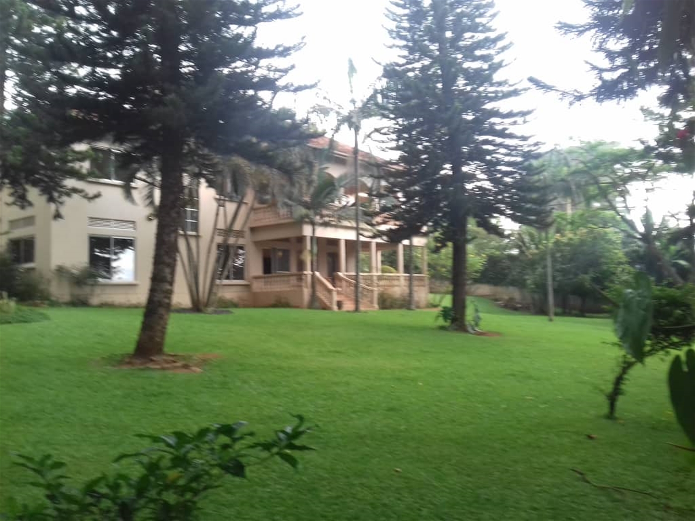 Mansion for rent in Naguru Kampala