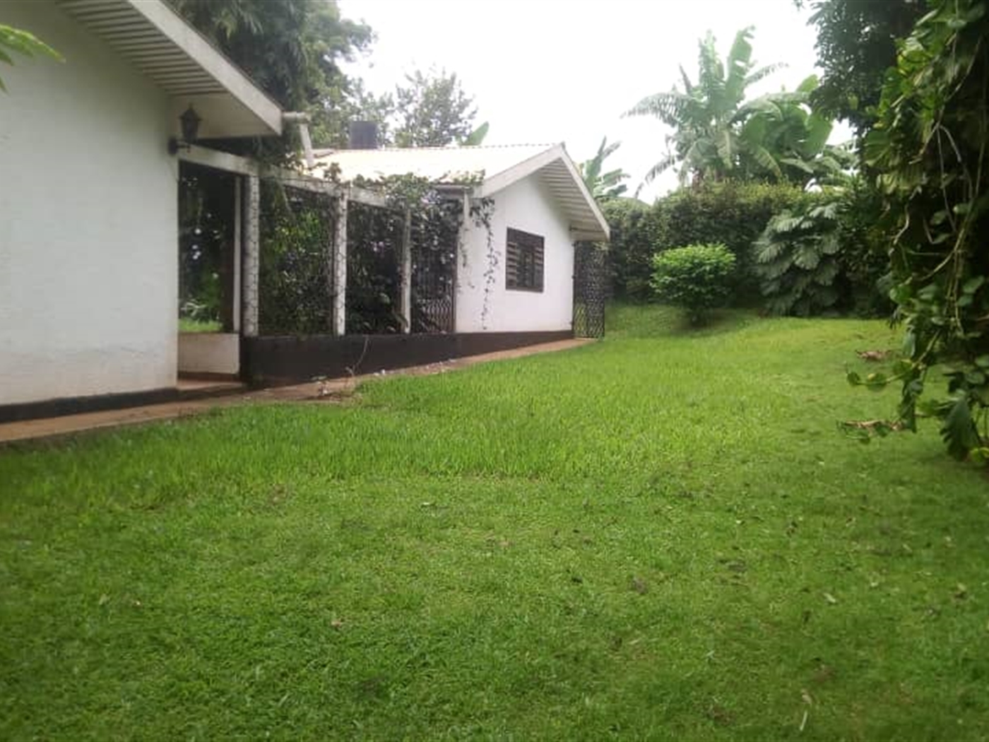 Bungalow for sale in Bugoloobi Kampala