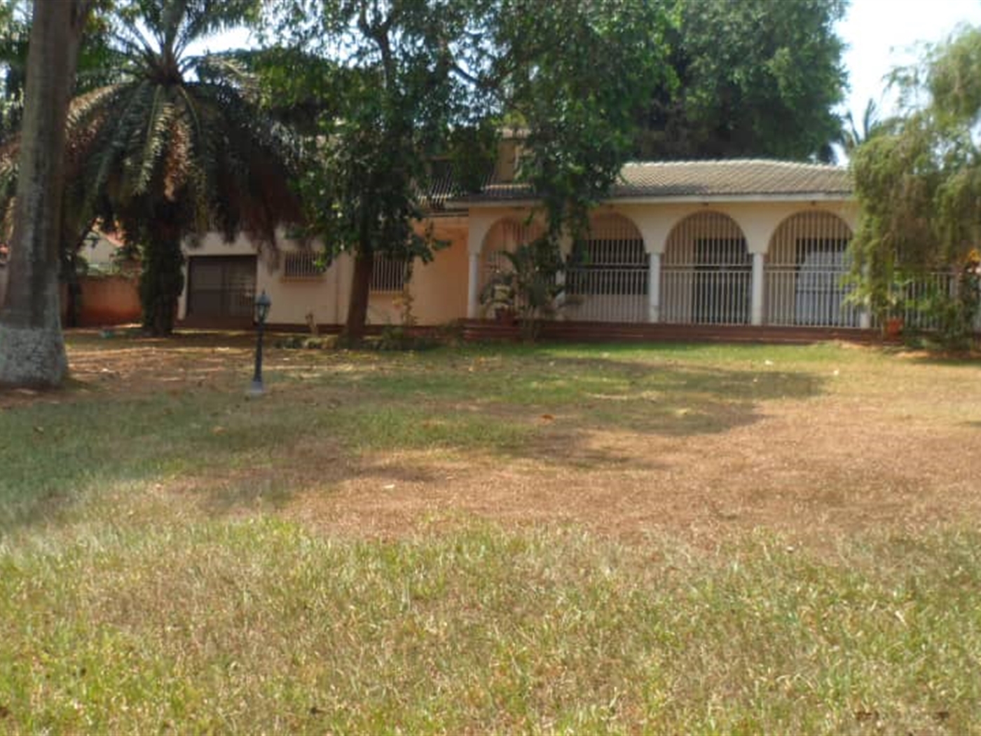 Bungalow for rent in Bugoloobi Kampala