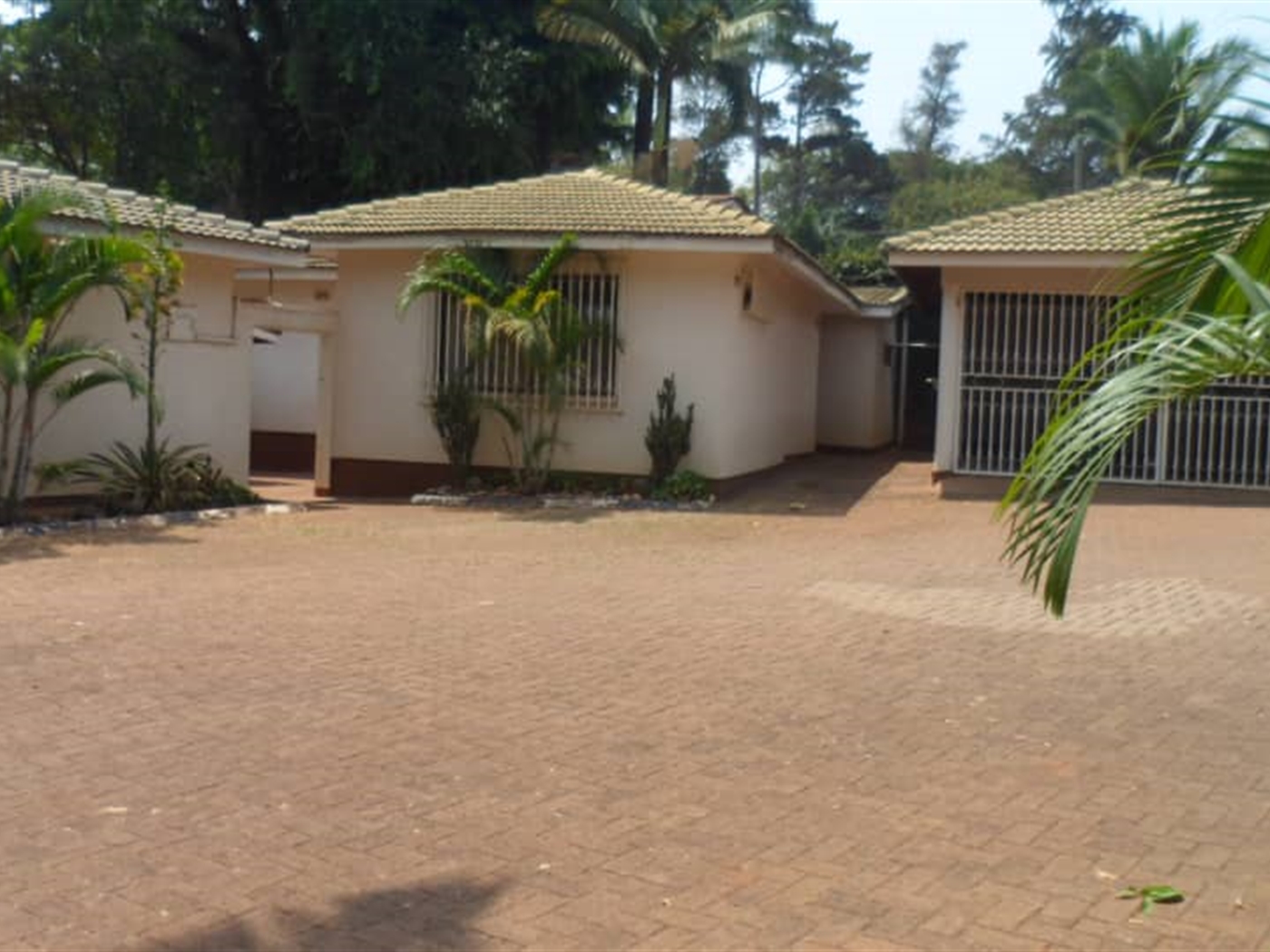 Bungalow for rent in Bugoloobi Kampala