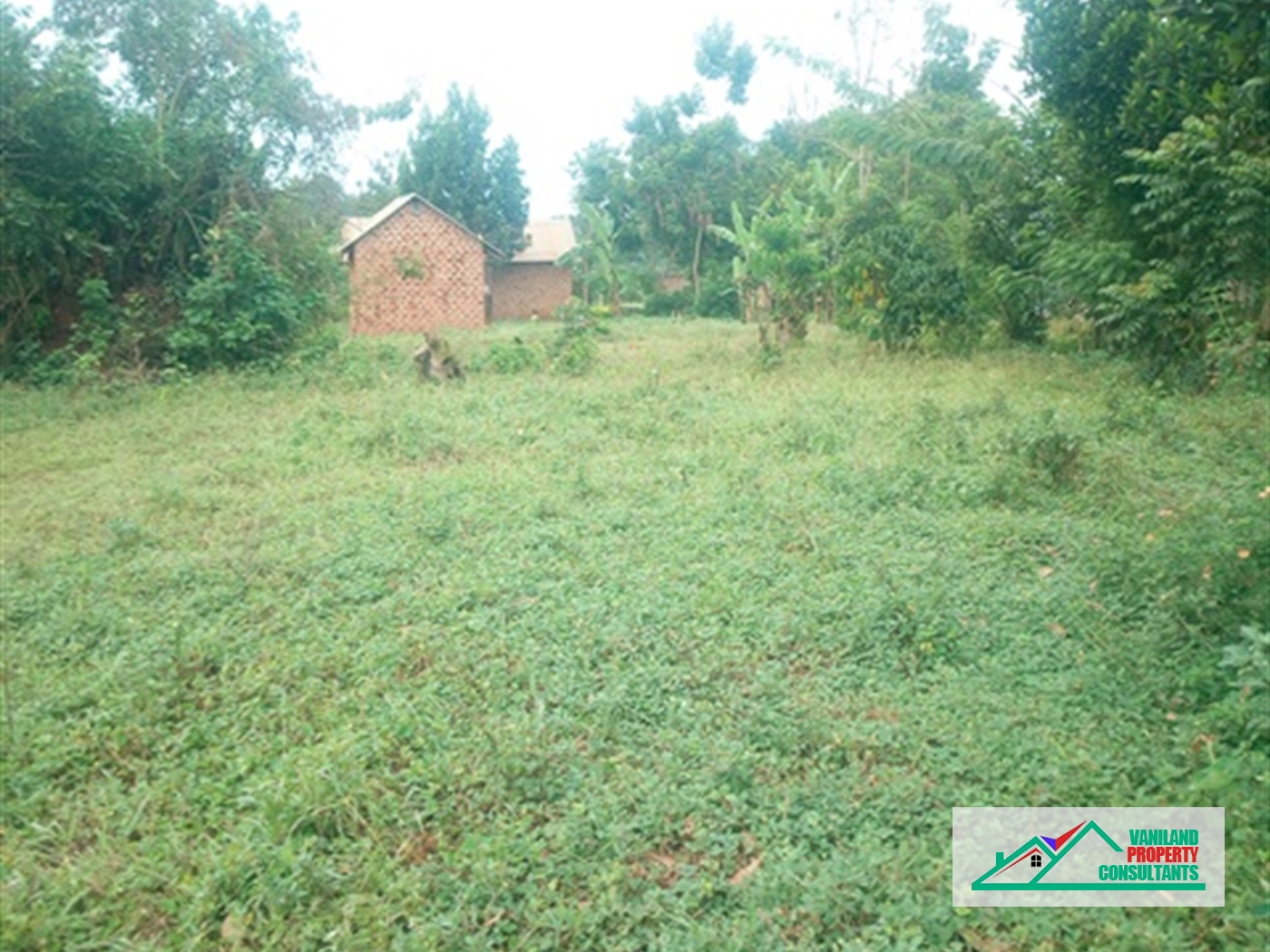 Residential Land for sale in Bukeelele Mukono