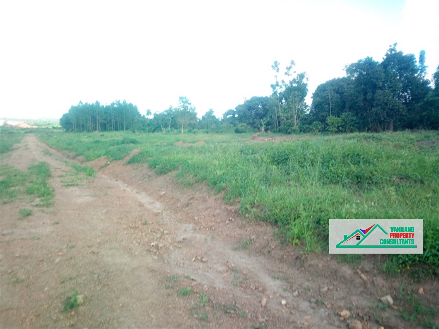 Residential Land for sale in Gayaza Wakiso