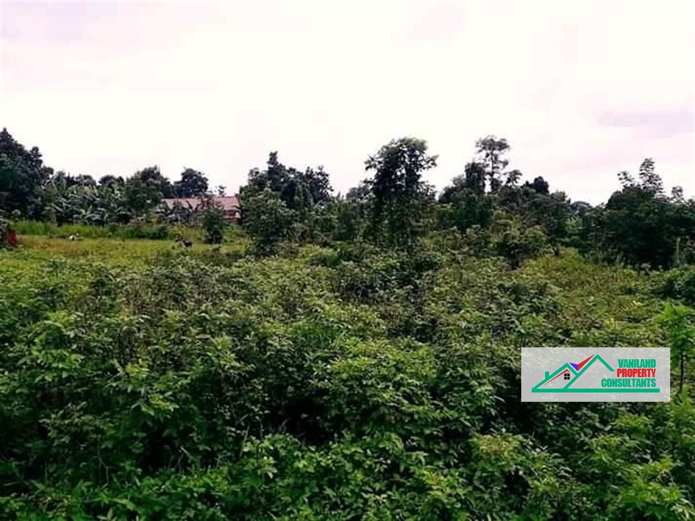 Residential Land for sale in Matugga Kampala