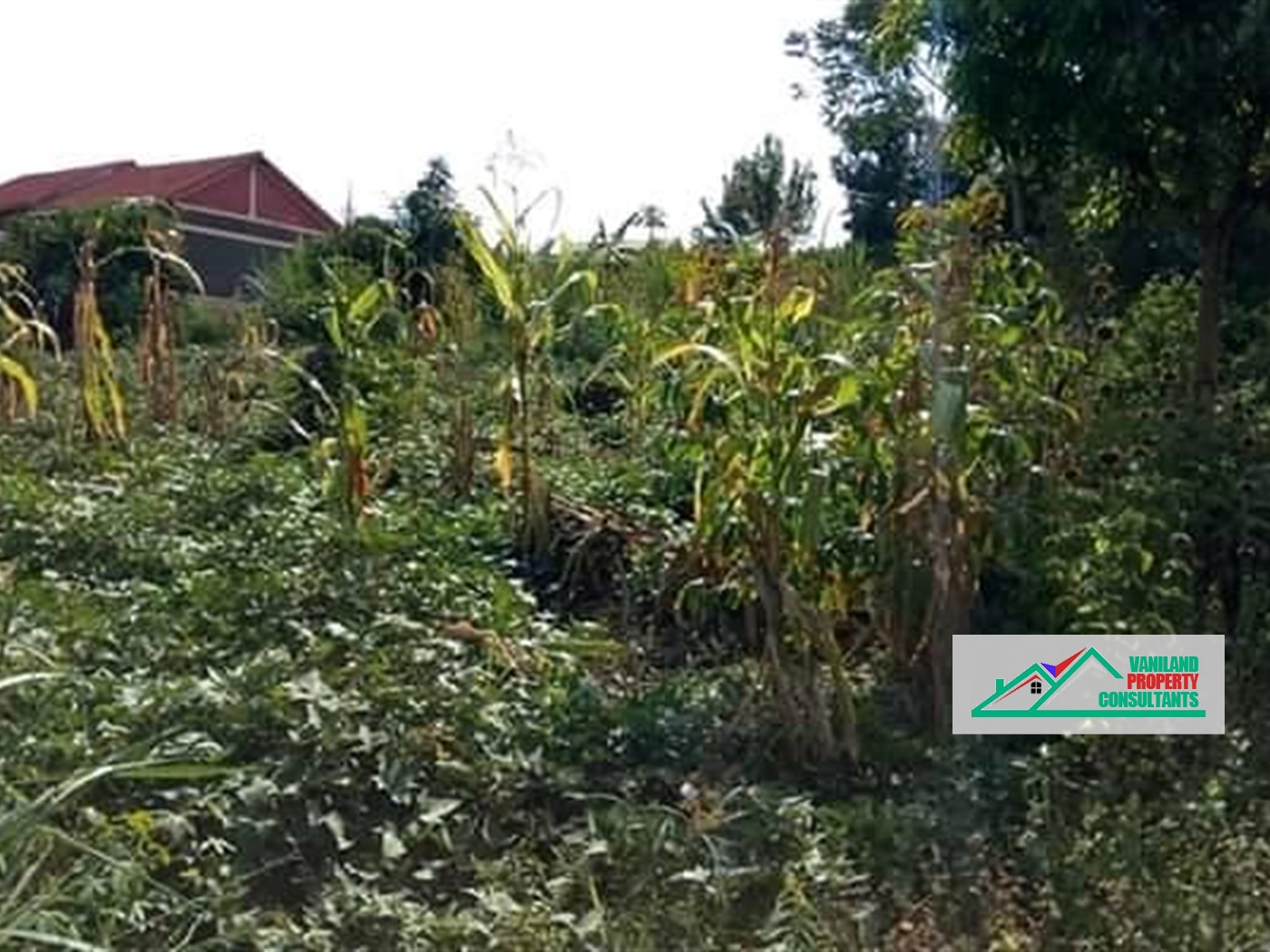 Recreational Land for sale in Gayaza Kampala