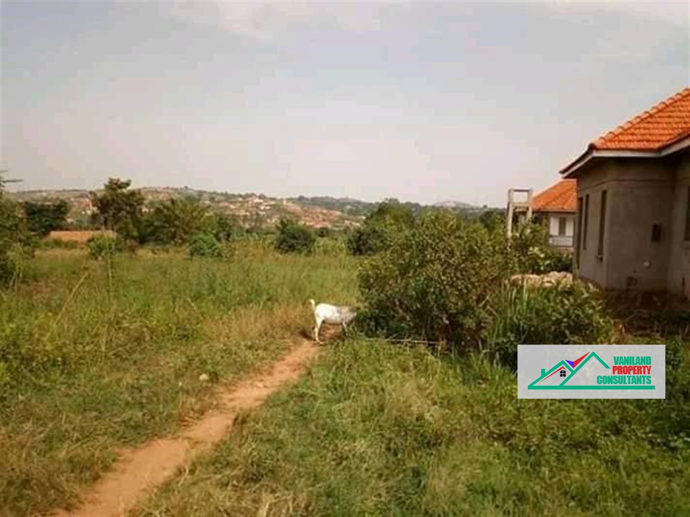 Residential Land for sale in Kira Wakiso