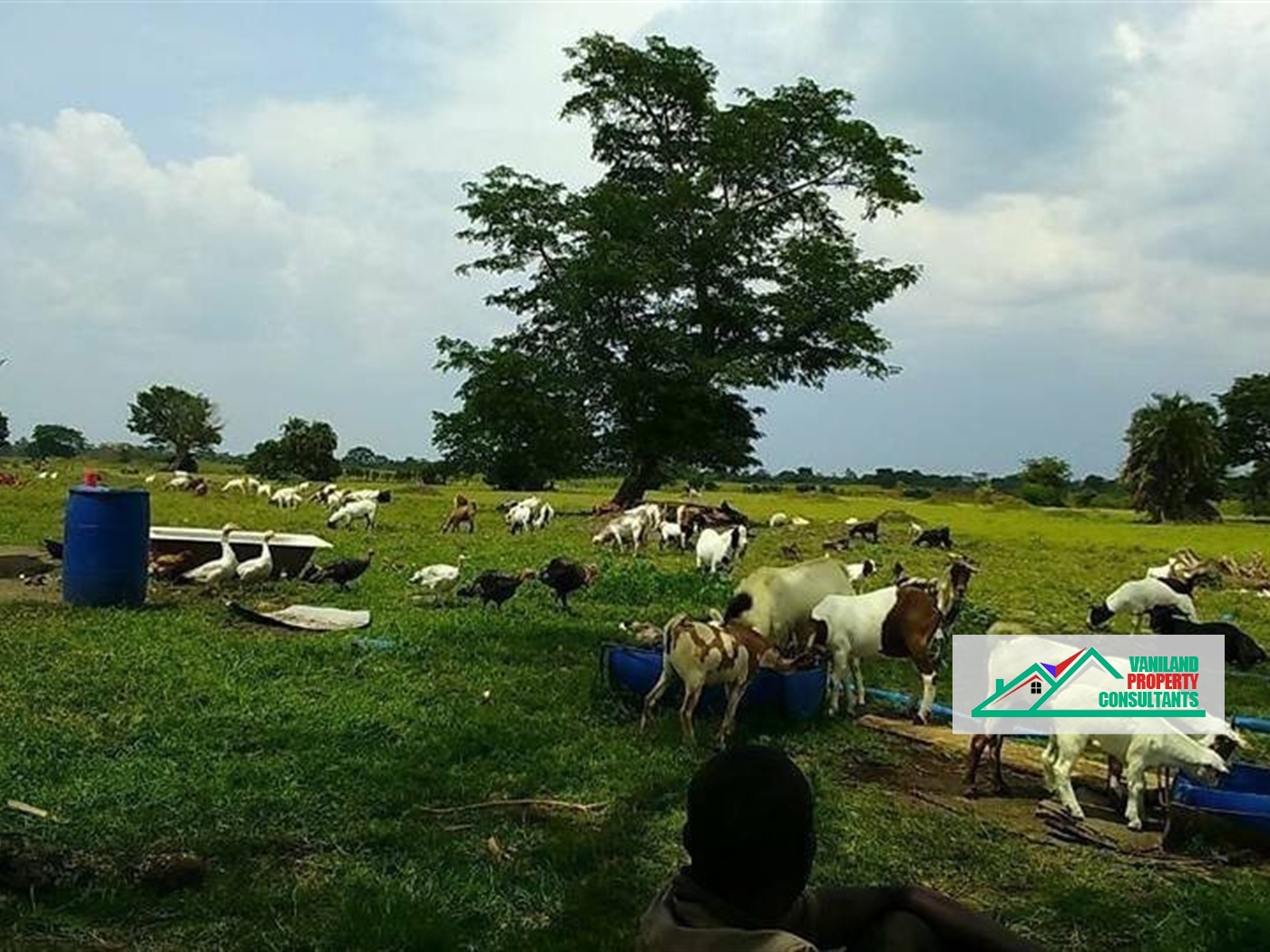 Agricultural Land for sale in Jinja Jinja