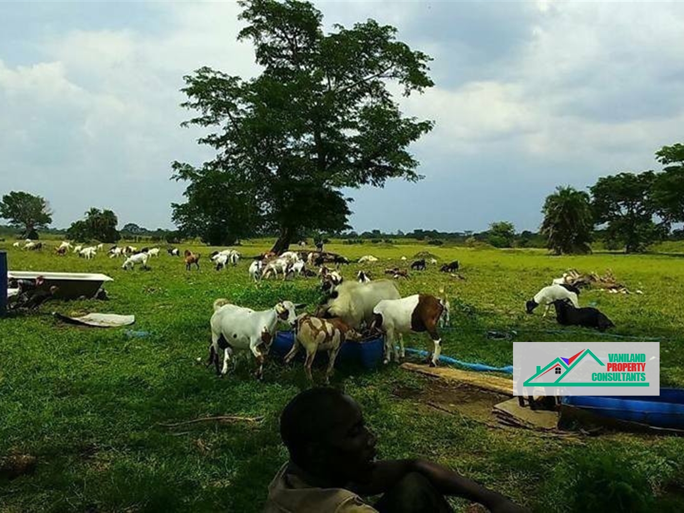 Agricultural Land for sale in Jinja Jinja