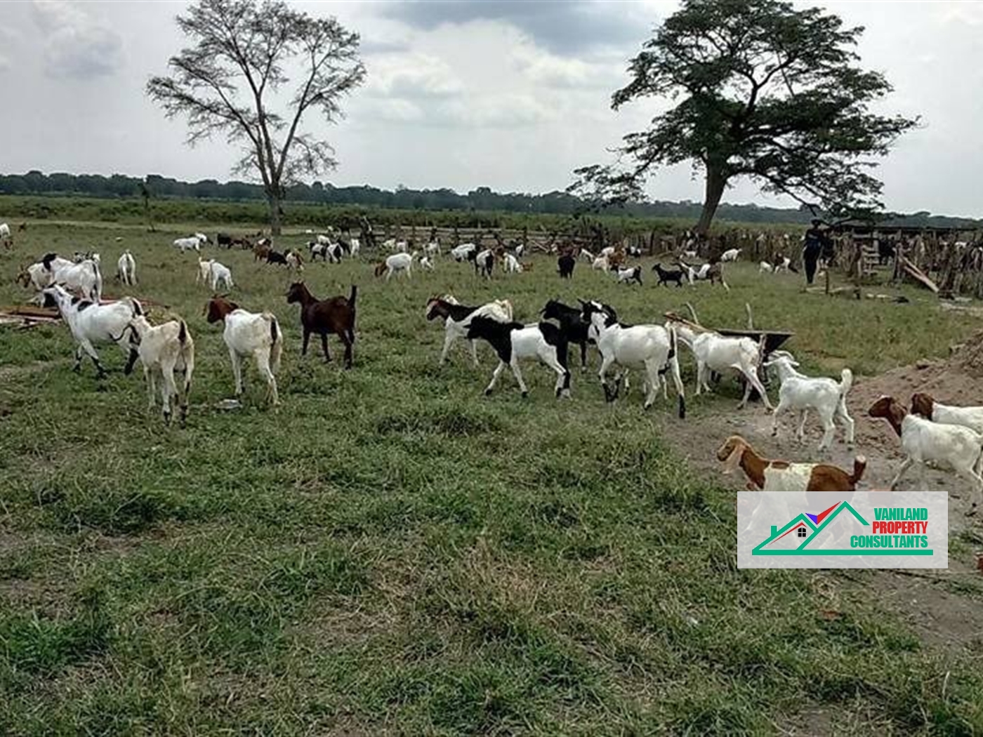 Agricultural Land for sale in Jinja Jinja