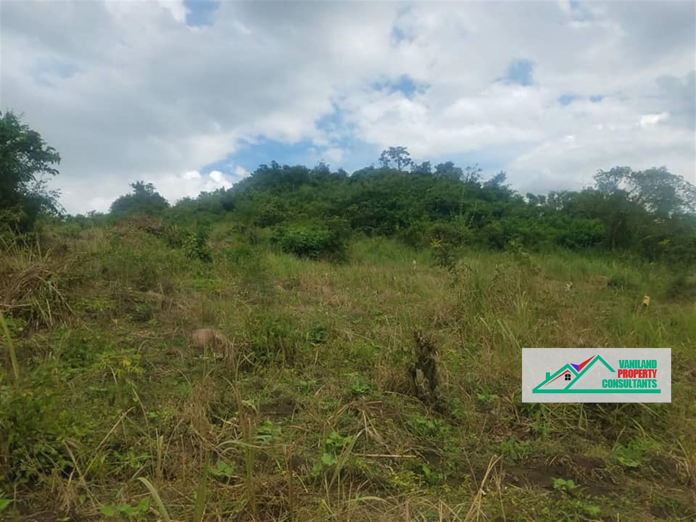 Multipurpose Land for sale in Busunjju Mityana