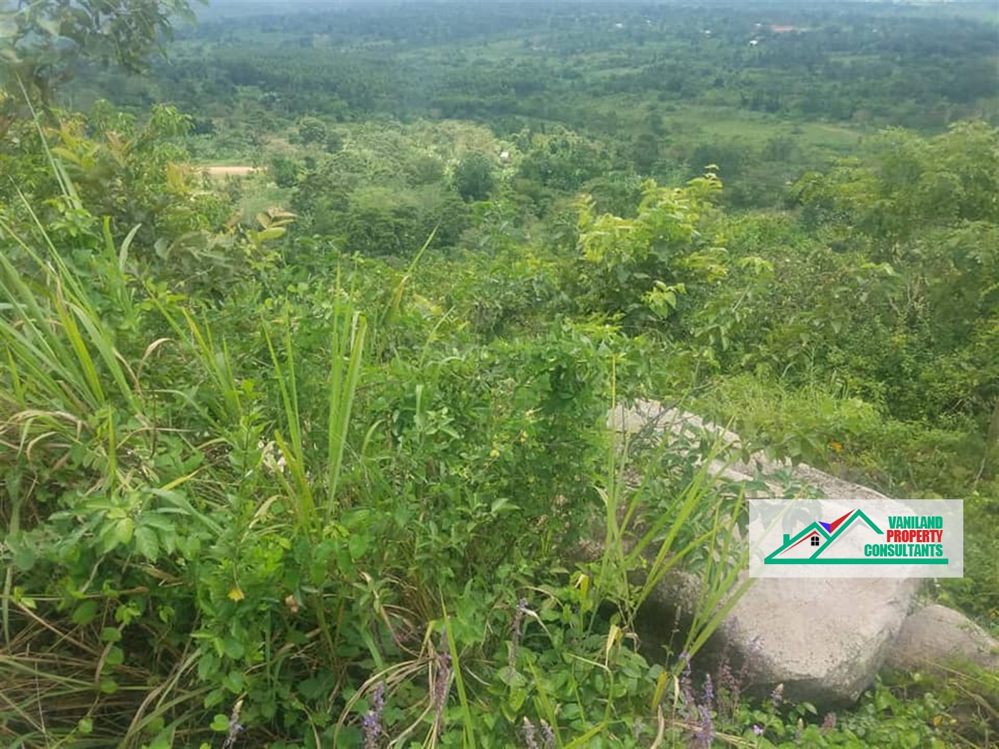 Multipurpose Land for sale in Busunjju Mityana