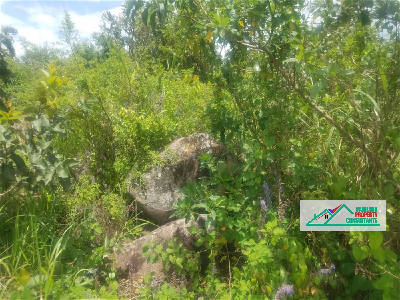 Multipurpose Land for sale in Busunjju Mityana