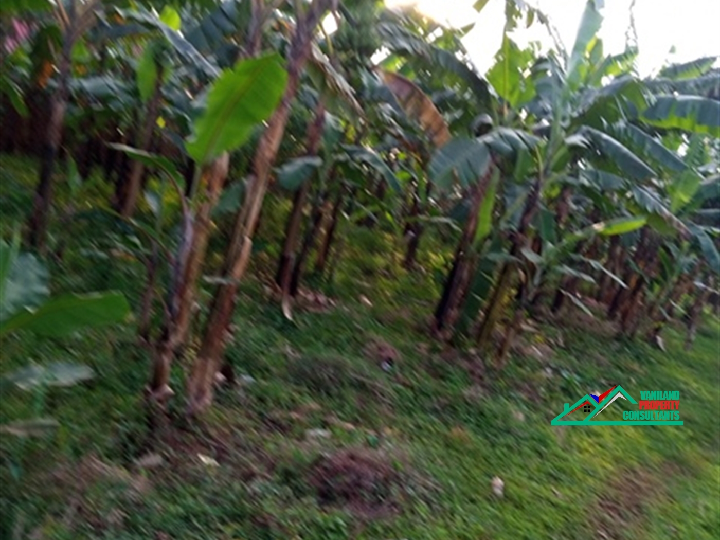 Commercial Land for sale in Kira Wakiso